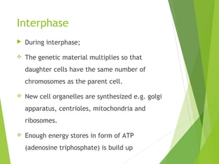 Interphase
 During interphase;
 The genetic material multiplies so that
daughter cells have the same number of
chromosomes as the parent cell.
 New cell organelles are synthesized e.g. golgi
apparatus, centrioles, mitochondria and
ribosomes.
 Enough energy stores in form of ATP
(adenosine triphosphate) is build up
 