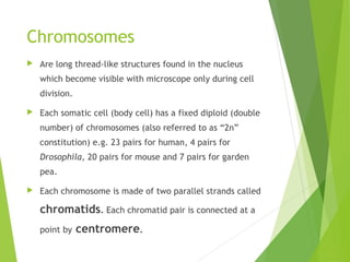Chromosomes
 Are long thread-like structures found in the nucleus
which become visible with microscope only during cell
division.
 Each somatic cell (body cell) has a fixed diploid (double
number) of chromosomes (also referred to as “2n”
constitution) e.g. 23 pairs for human, 4 pairs for
Drosophila, 20 pairs for mouse and 7 pairs for garden
pea.
 Each chromosome is made of two parallel strands called
chromatids. Each chromatid pair is connected at a
point by centromere.
 