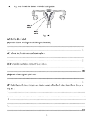 10. Fig. 10.1 shows the female reproductive system. 
Fig. 10.1 
(a) On Fig. 10.1, label 
(i) where sperm are deposited during intercourse; 
.......................................................................................................................................................................................... 
................................................................................................................................................................................... [1] 
(ii) where fertilisation normally takes place; 
.......................................................................................................................................................................................... 
................................................................................................................................................................................... [1] 
(iii) where implantation normally takes place; 
.......................................................................................................................................................................................... 
................................................................................................................................................................................... [1] 
(iv) where oestrogen is produced. 
................................................................................................................................................................. ......................... 
................................................................................................................................................................................... [1] 
(b) State three effects oestrogen can have on parts of the body other than those shown in 
Fig. 10.1. 
1. ........................................................................................................................................................................................ 
........................................................................................................................................................................................... 
2. ........................................................................................................................................................................................ 
.................................................................................................................................................... ....................................... 
3. ........................................................................................................................................................................................ 
.....................................................................................................................................................................................[3] 
21 
 