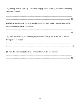 (d) Identify with an X, on Fig. 14.1, where surgery would normally be carried out to bring 
about birth control. 
.......................................................................................................................................................................................... 
................................................................................................................................................................................... [1] 
(e) (i) HIV is a virus that can be sexually transmitted. State how its transmission can be 
prevented during sexual intercourse. 
.......................................................................................................................................................................................... 
......................................................................................................................................... .......................................... [1] 
(ii) State two methods, other than by sexual intercourse, by which HIV can be passed 
from person to person. 
1. ........................................................................................................................................................................................ 
2. ...................................................................................................................................................................................[2] 
(f) State the difference in function of the urethra in males and females. 
.......................................................................................................................................................................................... 
................................................................................................................................................................................... [1] 
25 
 