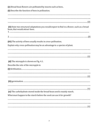 (c) Broad bean flowers are pollinated by insects such as bees. 
(i) Describe the function of bees in pollination. 
............................................................................................................................................................................................. 
.............................................................................................................................................................................................. 
.............................................................................................................................................................. ........................ [2] 
(ii) State two structural adaptations you would expect to find in a flower, such as a broad 
bean, that would attract bees. 
1. ...................................................................................................................................................................................... 
2. ...................................................................................................................................................................................[2] 
(iii) The activity of bees usually results in cross-pollination. 
Explain why cross-pollination may be an advantage to a species of plant. 
............................................................................................................................................................................................. 
.......................................................................................................................................................................... .................... 
...................................................................................................................................................................................... [2] 
(d) The micropyle is shown on Fig. 4.1. 
Describe the role of the micropyle in 
(i) fertilization............................................................................................................................................................ 
.............................................................................................................................................................................................. 
...................................................................................................................................................................................... [2] 
(ii) germination. ........................................................................................................................................................ 
.............................................................................................................................................................................................. 
...................................................................................................................................................................................... [1] 
(e) The carbohydrate stored inside the broad bean seed is mainly starch. 
What must happen to the starch before the seed can use it for growth? 
............................................................................................................................................................................................. 
.............................................................................................................................................................................................. 
...................................................................................................................................... ................................................ [1] 
7 
 