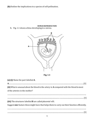 (b) Outline the implications to a species of self-pollination. 
HUMAN REPRODUCTION 
1. Fig. 1.1 shows a fetus developing in a uterus. 
Fig. 1.1 
(a) (i) Name the part labelled A. 
A...................................................................................................................................................................................[1] 
(ii) What is unusual about the blood in the artery in A compared with the blood in most 
of the arteries in the mother? 
............................................................................................................................................................................................ 
............................................................................................................................. ......................................................... [1] 
(iii) The structures labelled B are called placental villi. 
Suggest one feature these might have that helps them to carry out their function efficiently. 
............................................................................................................................................................................................ 
...................................................................................................................................................................................... [1] 
9 
 