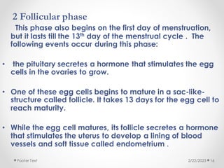 2 Follicular phase
This phase also begins on the first day of menstruation,
but it lasts till the 13th day of the menstrual cycle . The
following events occur during this phase:
• the pituitary secretes a hormone that stimulates the egg
cells in the ovaries to grow.
• One of these egg cells begins to mature in a sac-like-
structure called follicle. It takes 13 days for the egg cell to
reach maturity.
• While the egg cell matures, its follicle secretes a hormone
that stimulates the uterus to develop a lining of blood
vessels and soft tissue called endometrium .
2/22/2023
Footer Text 16
 
