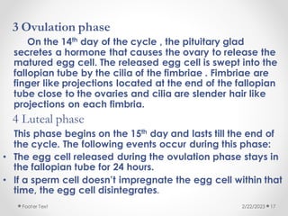 3 Ovulation phase
On the 14th day of the cycle , the pituitary glad
secretes a hormone that causes the ovary to release the
matured egg cell. The released egg cell is swept into the
fallopian tube by the cilia of the fimbriae . Fimbriae are
finger like projections located at the end of the fallopian
tube close to the ovaries and cilia are slender hair like
projections on each fimbria.
4 Luteal phase
This phase begins on the 15th day and lasts till the end of
the cycle. The following events occur during this phase:
• The egg cell released during the ovulation phase stays in
the fallopian tube for 24 hours.
• If a sperm cell doesn’t impregnate the egg cell within that
time, the egg cell disintegrates.
2/22/2023
Footer Text 17
 