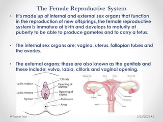 The Female Reproductive System
• It’s made up of internal and external sex organs that function
in the reproduction of new offsprings, the female reproductive
system is immature at birth and develops to maturity at
puberty to be able to produce gametes and to carry a fetus.
• The internal sex organs are; vagina, uterus, fallopian tubes and
the ovaries.
• The external organs; these are also known as the genitals and
these include; vulva, labia, clitoris and vaginal opening.
2/22/2023
Footer Text 2
 
