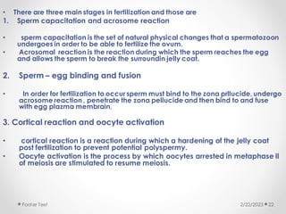 • There are three main stages in fertilization and those are
1. Sperm capacitation and acrosome reaction
• sperm capacitation is the set of natural physical changes that a spermatozoon
undergoes in order to be able to fertilize the ovum.
• Acrosomal reaction is the reaction during which the sperm reaches the egg
and allows the sperm to break the surroundin jelly coat.
2. Sperm – egg binding and fusion
• In order for fertilization to occur sperm must bind to the zona prllucide, undergo
acrosome reaction , penetrate the zona pellucide and then bind to and fuse
with egg plazma membrain.
3. Cortical reaction and oocyte activation
• cortical reaction is a reaction during which a hardening of the jelly coat
post fertilization to prevent potential polyspermy.
• Oocyte activation is the process by which oocytes arrested in metaphase ll
of meiosis are stimulated to resume meiosis.
2/22/2023
Footer Text 22
 