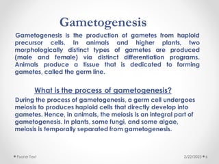 Gametogenesis
Gametogenesis is the production of gametes from haploid
precursor cells. In animals and higher plants, two
morphologically distinct types of gametes are produced
(male and female) via distinct differentiation programs.
Animals produce a tissue that is dedicated to forming
gametes, called the germ line.
What is the process of gametogenesis?
During the process of gametogenesis, a germ cell undergoes
meiosis to produces haploid cells that directly develop into
gametes. Hence, in animals, the meiosis is an integral part of
gametogenesis. In plants, some fungi, and some algae,
meiosis is temporally separated from gametogenesis.
2/22/2023
Footer Text 6
 