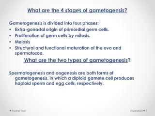 What are the 4 stages of gametogensis?
Gametogenesis is divided into four phases:
▪ Extra-gonadal origin of primordial germ cells.
▪ Proliferation of germ cells by mitosis.
▪ Meiosis
▪ Structural and functional maturation of the ova and
spermatozoa.
What are the two types of gametogenesis?
Spermatogenesis and oogenesis are both forms of
gametogenesis, in which a diploid gamete cell produces
haploid sperm and egg cells, respectively.
2/22/2023
Footer Text 7
 