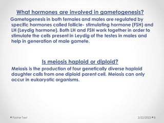 What hormones are involved in gametogenesis?
Gametogenesis in both females and males are regulated by
specific hormones called follicle- stimulating hormone (FSH) and
LH (Leydig hormone). Both LH and FSH work together in order to
stimulate the cells present in Leydig of the testes in males and
help in generation of male gamete.
Is meiosis haploid or diploid?
Meiosis is the production of four genetically diverse haploid
daughter calls from one diploid parent cell. Meiosis can only
occur in eukaryotic organisms.
2/22/2023
Footer Text 8
 