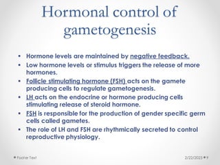Hormonal control of
gametogenesis
▪ Hormone levels are maintained by negative feedback.
▪ Low hormone levels or stimulus triggers the release of more
hormones.
▪ Follicle stimulating hormone (FSH) acts on the gamete
producing cells to regulate gametogenesis.
▪ LH acts on the endocrine or hormone producing cells
stimulating release of steroid hormone.
▪ FSH is responsible for the production of gender specific germ
cells called gametes.
▪ The role of LH and FSH are rhythmically secreted to control
reproductive physiology.
2/22/2023
Footer Text 9
 