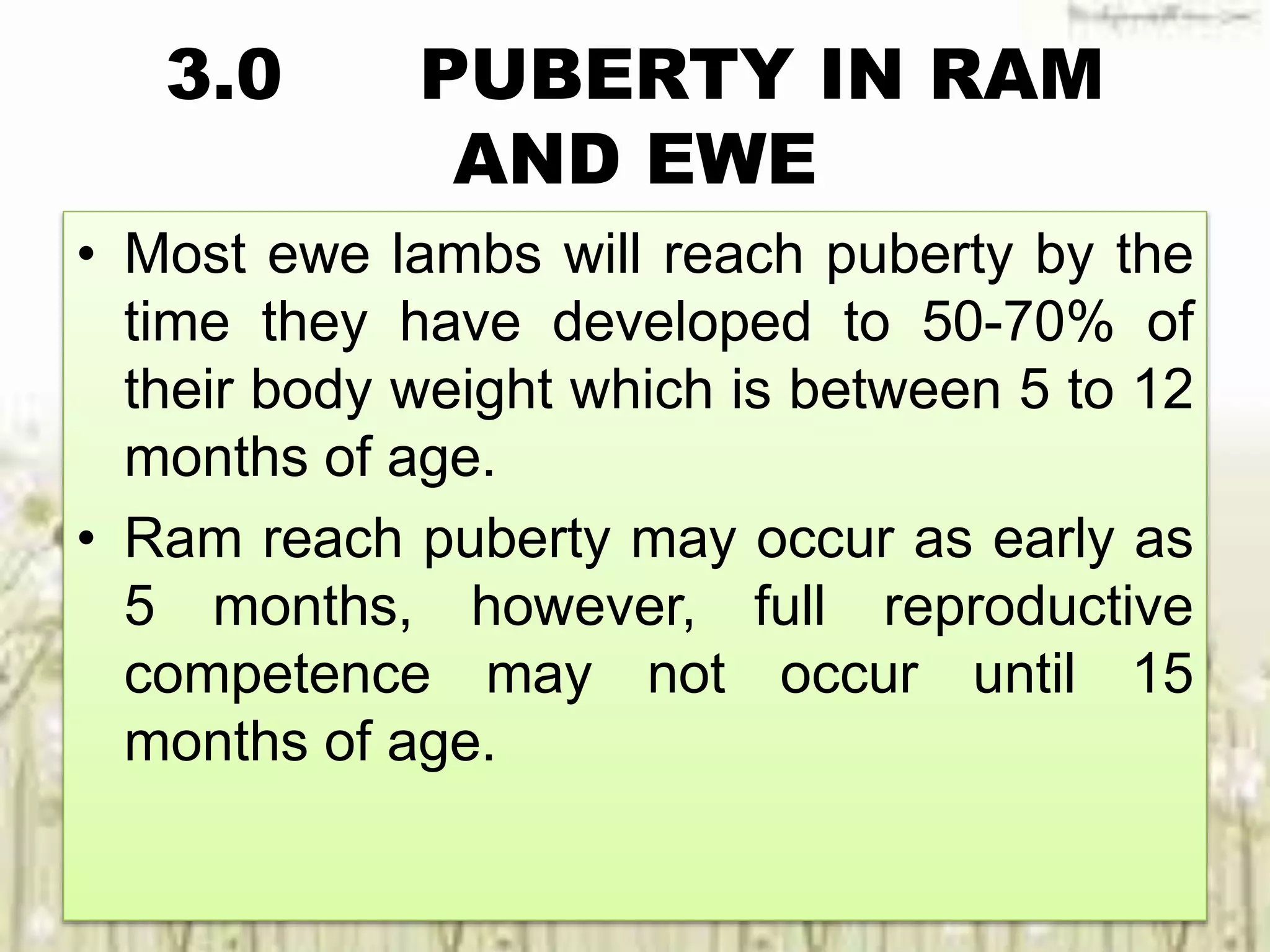 3.0 PUBERTY IN RAM
AND EWE
• Most ewe lambs will reach puberty by the
time they have developed to 50-70% of
their body weight which is between 5 to 12
months of age.
• Ram reach puberty may occur as early as
5 months, however, full reproductive
competence may not occur until 15
months of age.
 