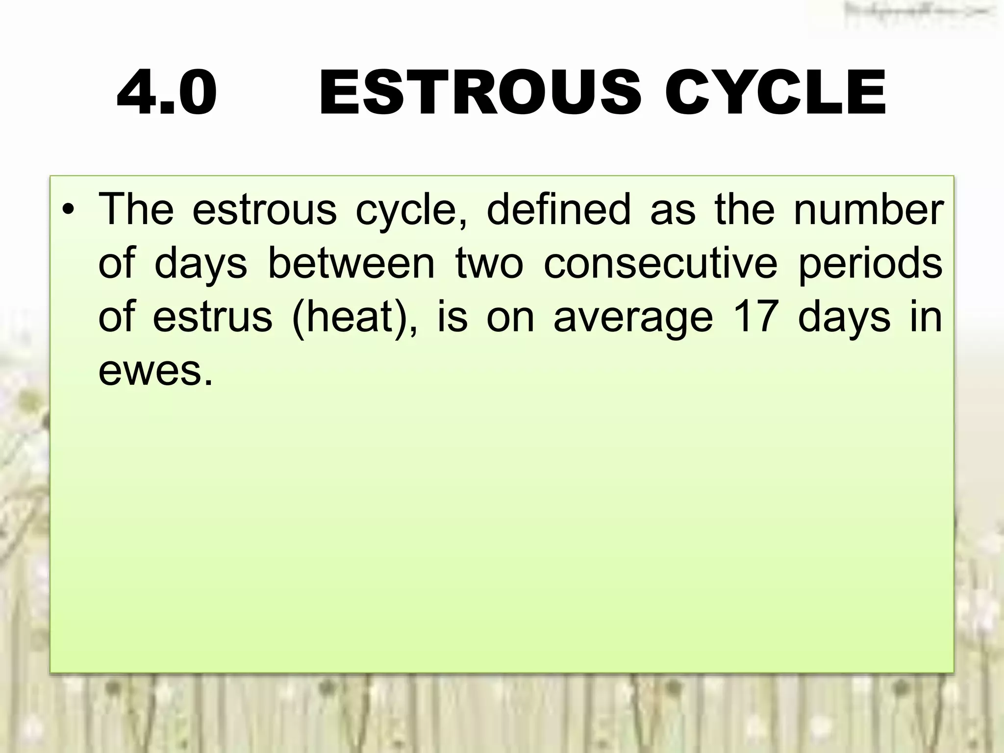 4.0 ESTROUS CYCLE
• The estrous cycle, defined as the number
of days between two consecutive periods
of estrus (heat), is on average 17 days in
ewes.
 