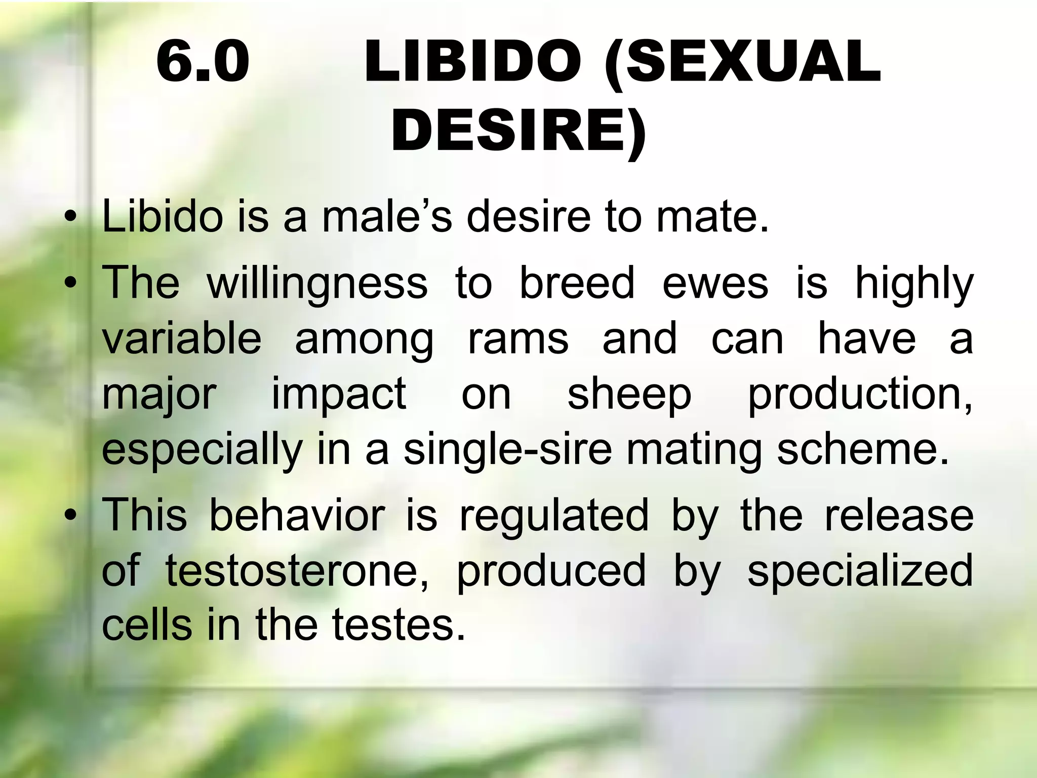 6.0 LIBIDO (SEXUAL
DESIRE)
• Libido is a male’s desire to mate.
• The willingness to breed ewes is highly
variable among rams and can have a
major impact on sheep production,
especially in a single-sire mating scheme.
• This behavior is regulated by the release
of testosterone, produced by specialized
cells in the testes.
 