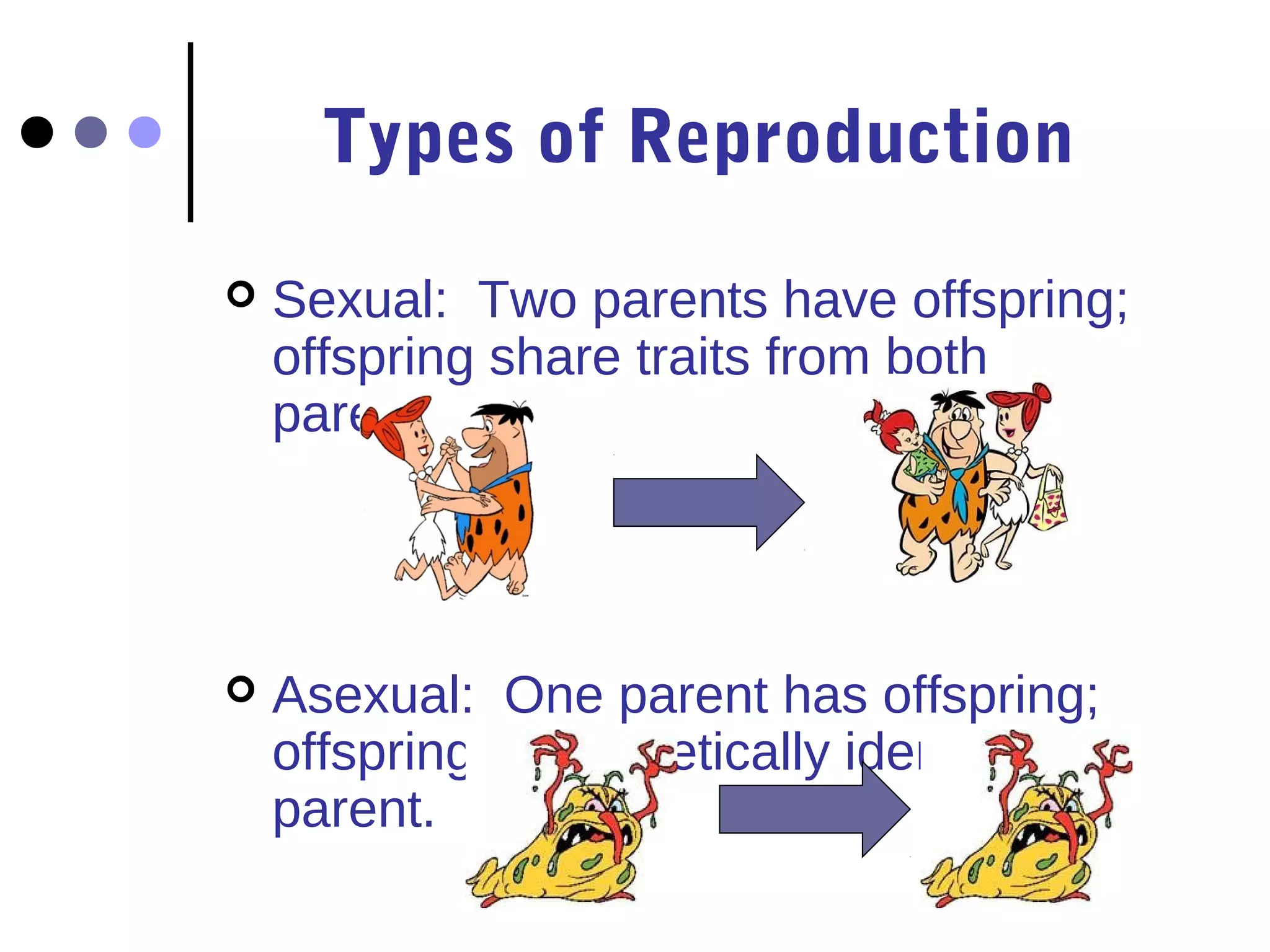 Types of Reproduction
   Sexual: Two parents have offspring;
    offspring share traits from both
    parents.




   Asexual: One parent has offspring;
    offspring are genetically identical to
    parent.
 