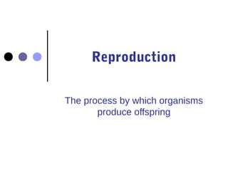 Reproduction


The process by which organisms
       produce offspring
 