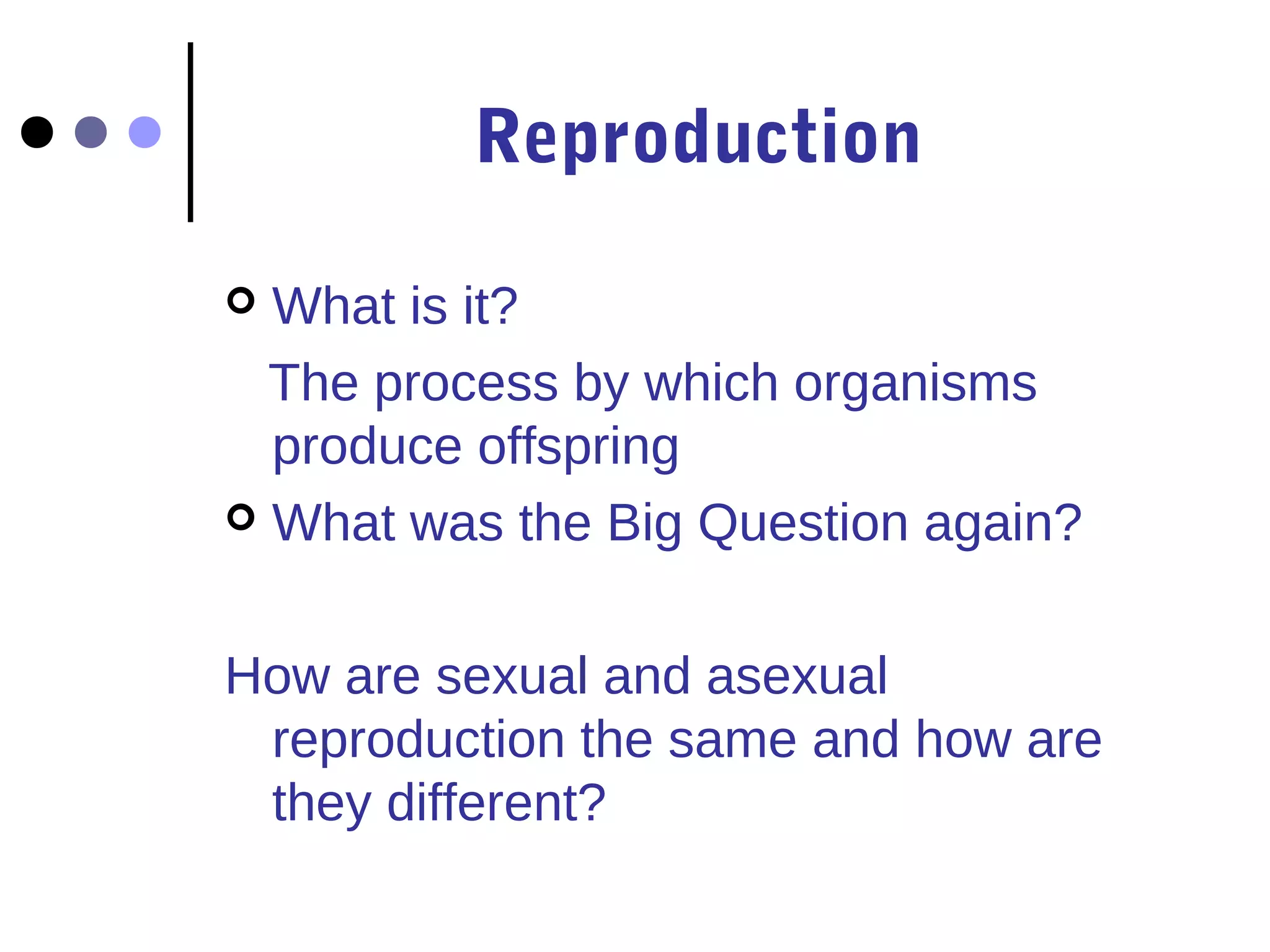 Reproduction
What is it?
The process by which organisms
produce offspring
What was the Big Question again?
How are sexual and asexual
reproduction the same and how are
they different?