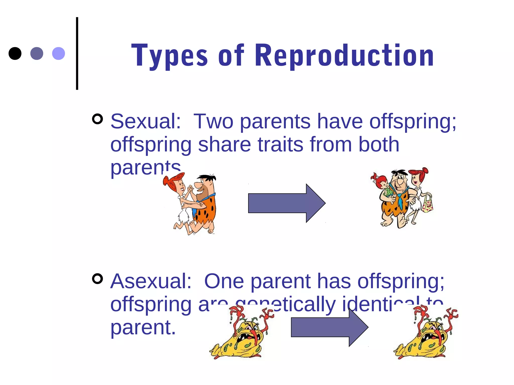 Types of Reproduction 
 Sexual: Two parents have offspring; 
offspring share traits from both 
parents. 
 Asexual: One parent has offspring; 
offspring are genetically identical to 
parent. 
 