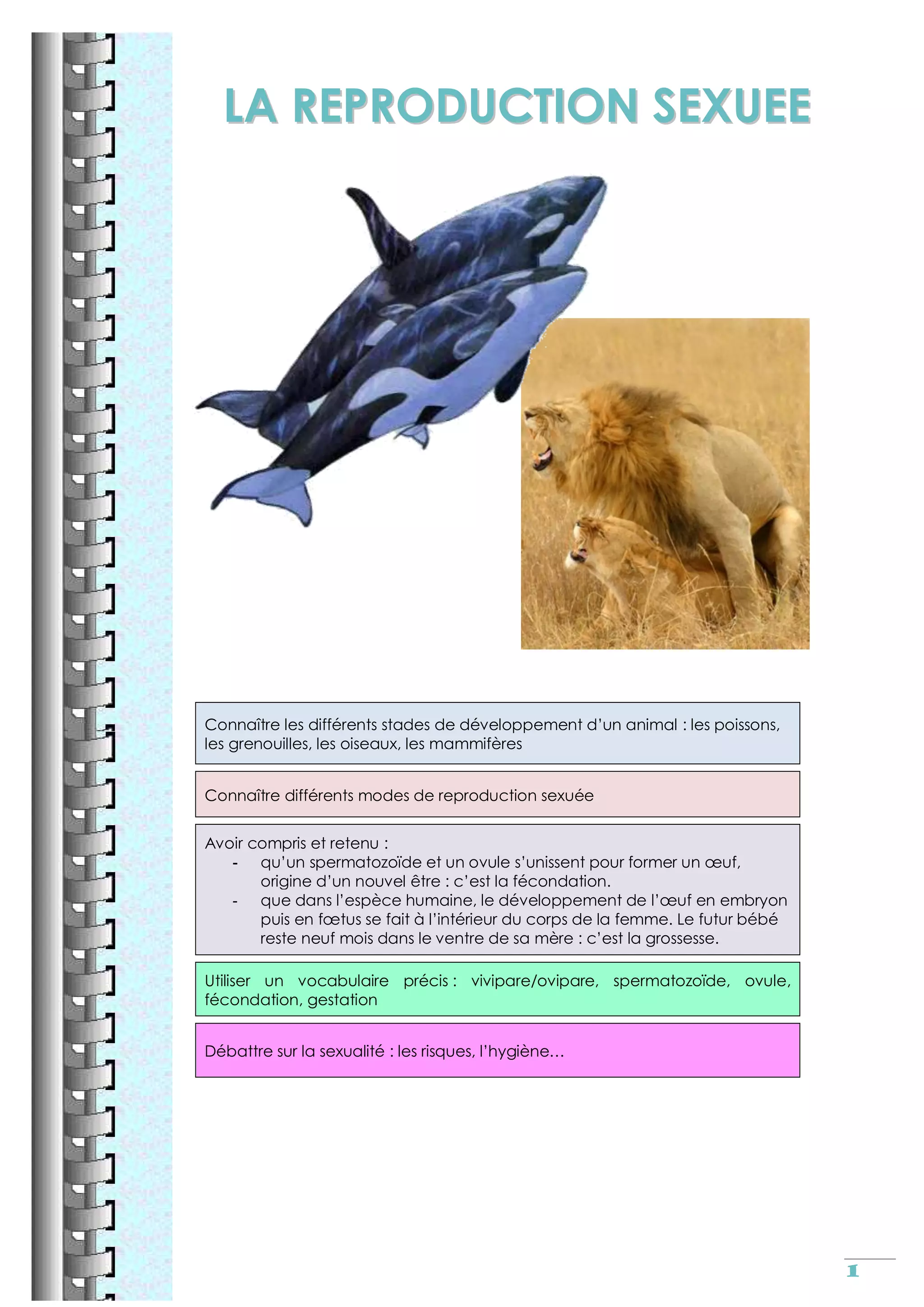 Reproduction sexuee cm2
