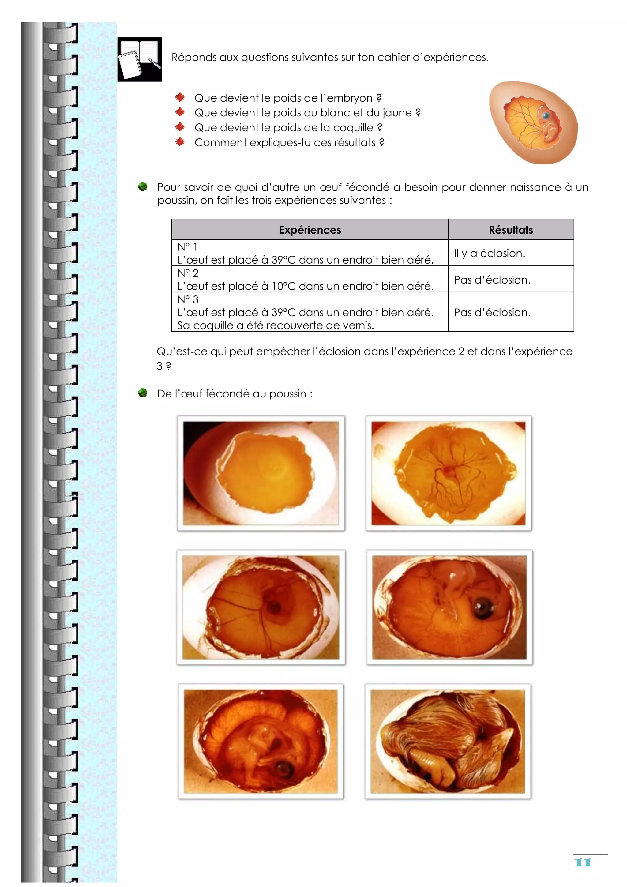 Reproduction sexuee cm2