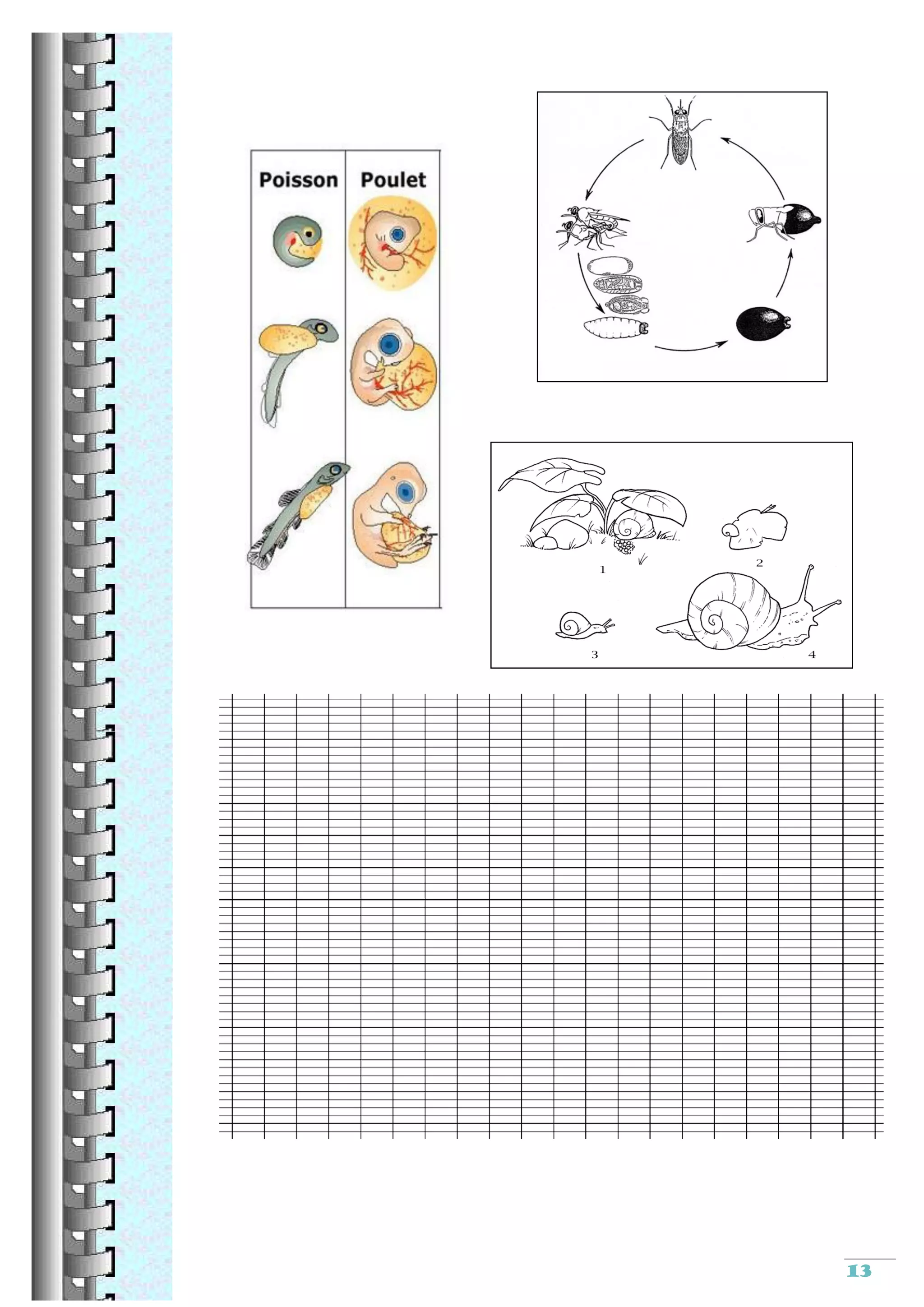 Reproduction sexuee cm2