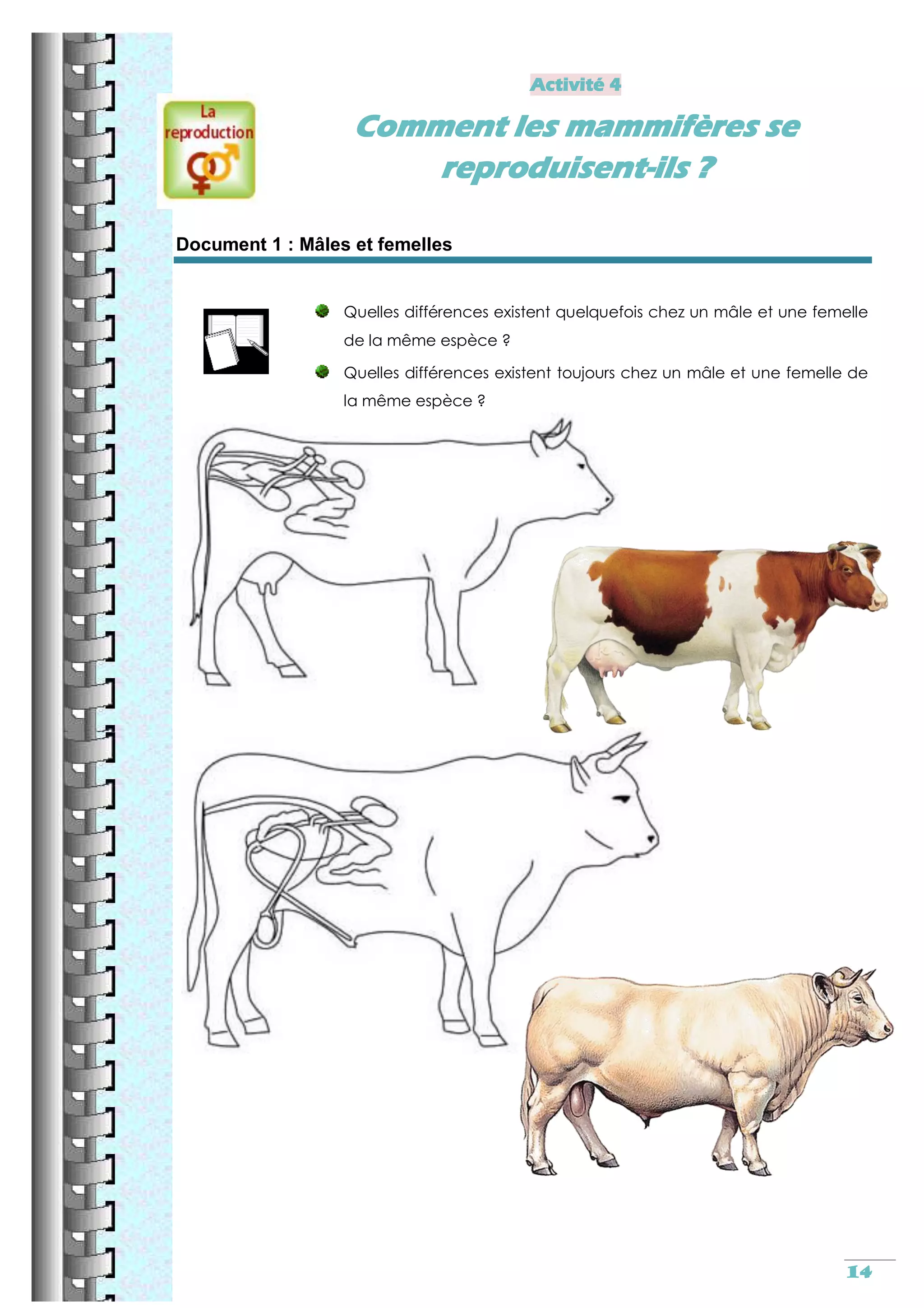 Reproduction sexuee cm2