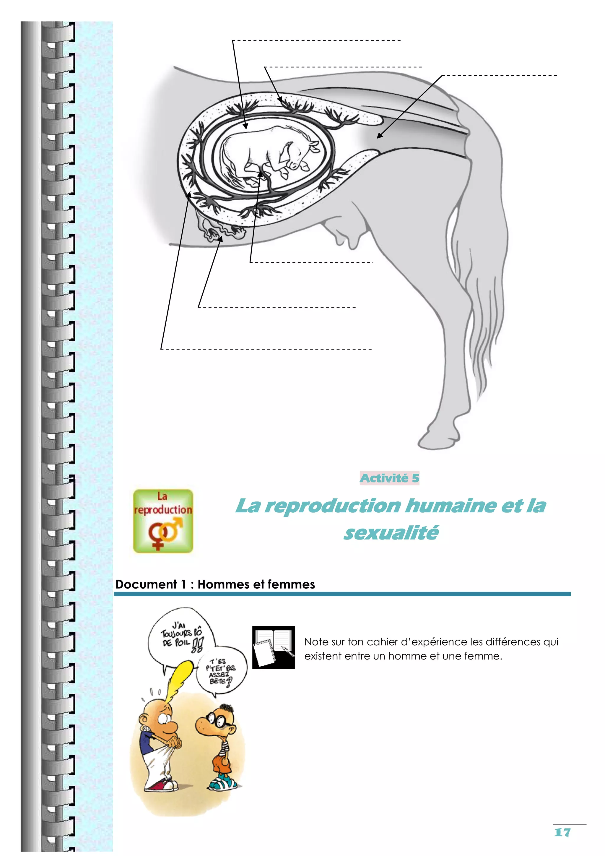 Reproduction sexuee cm2