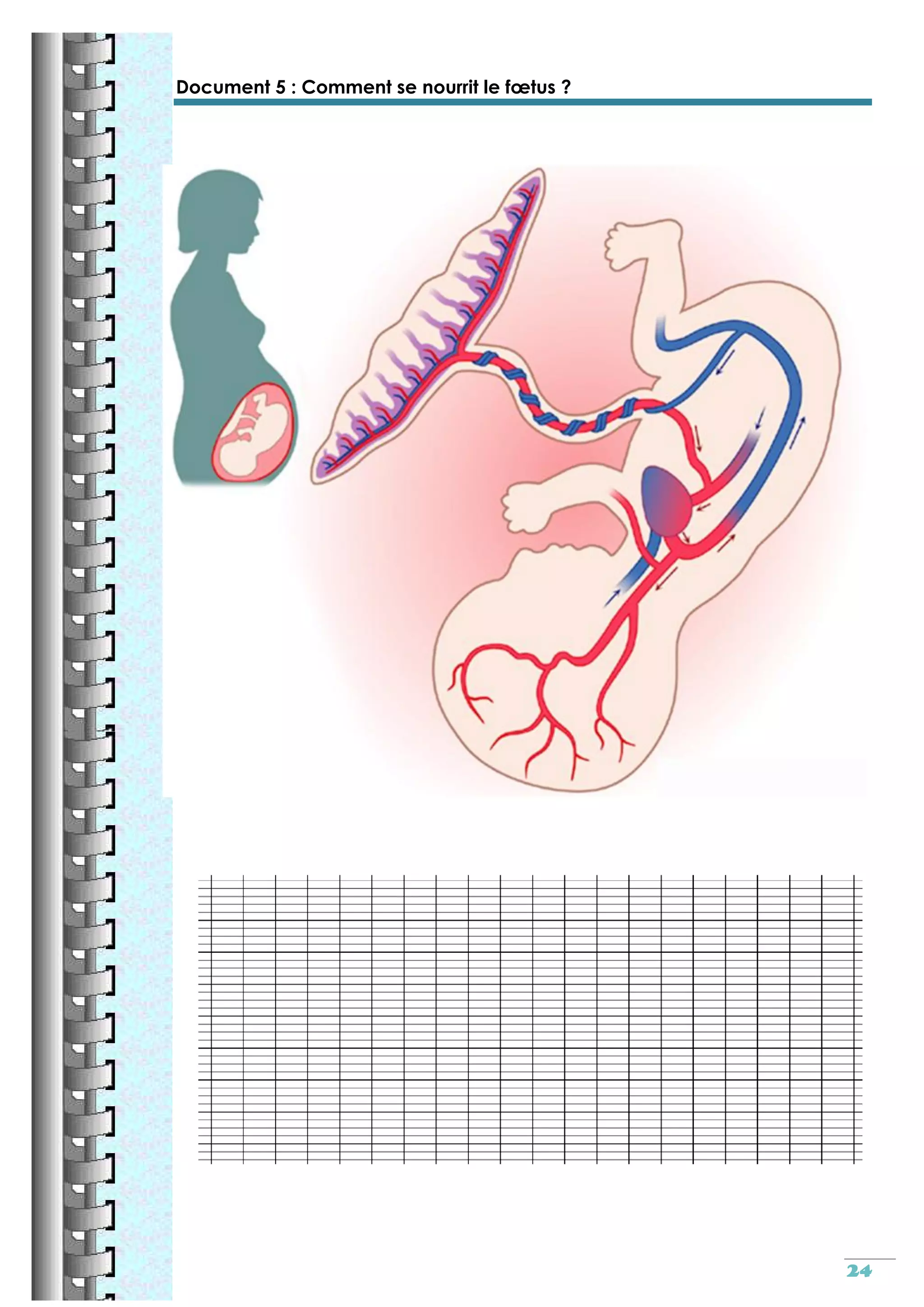 Reproduction sexuee cm2