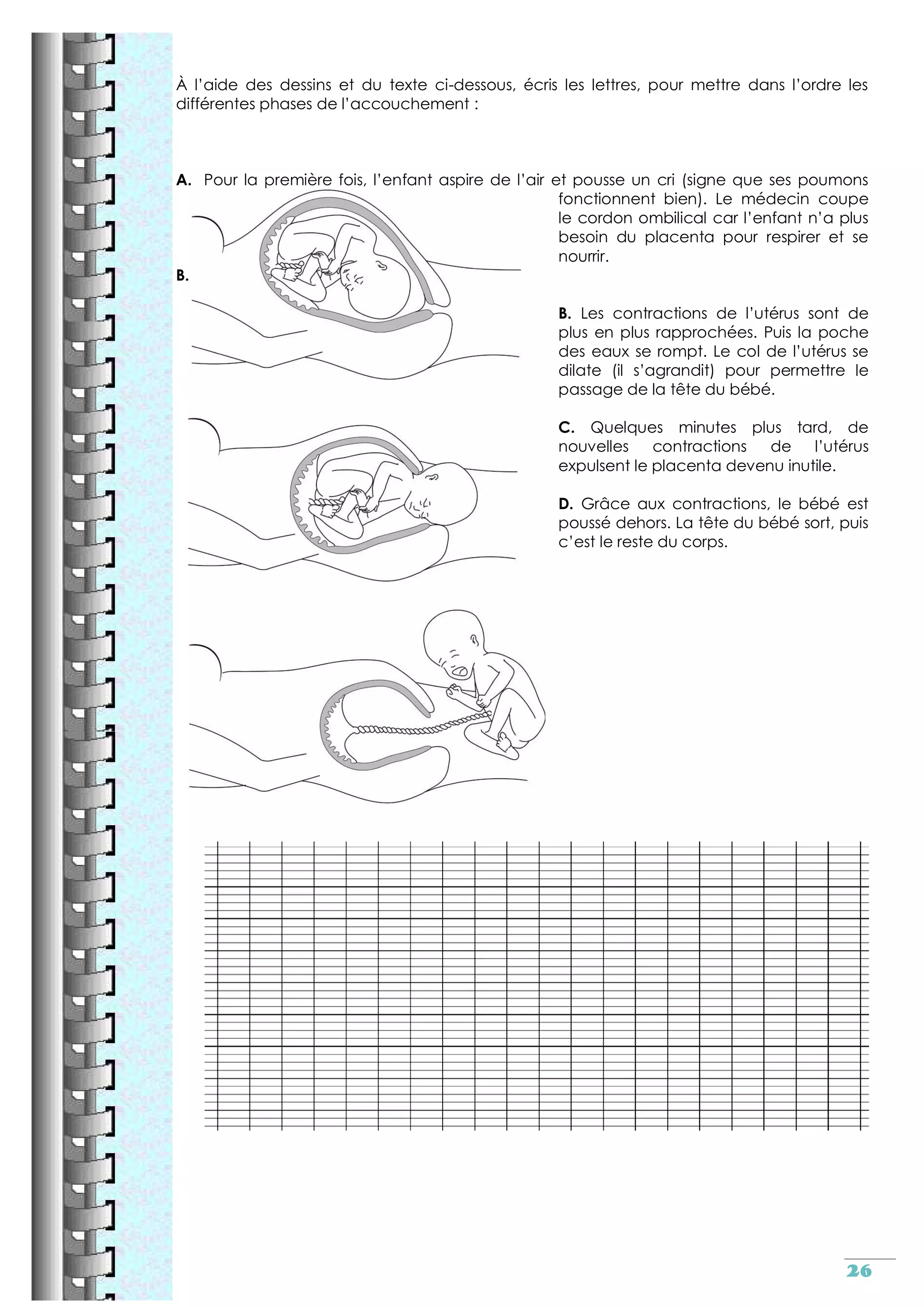 Reproduction sexuee cm2