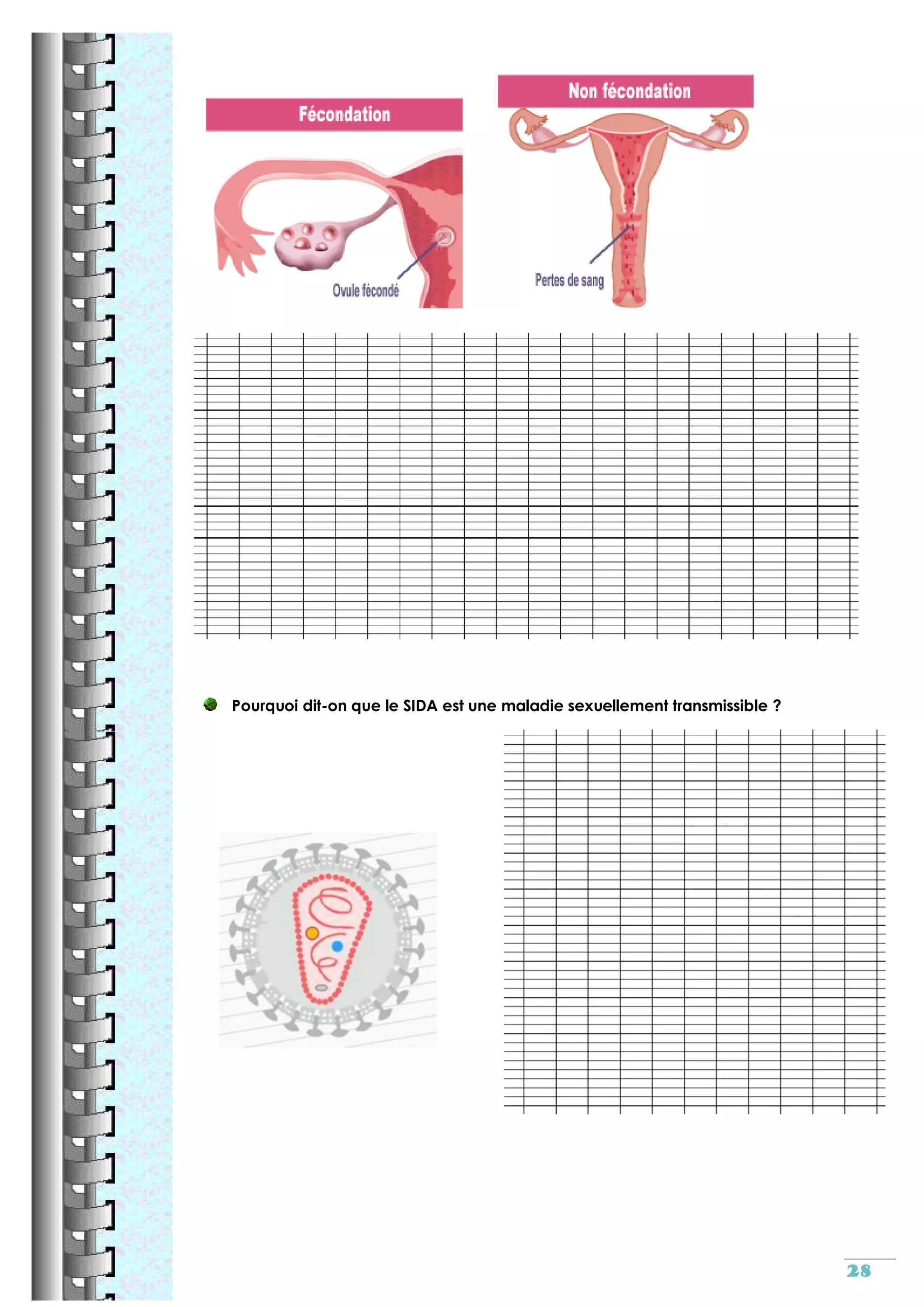 Reproduction sexuee cm2