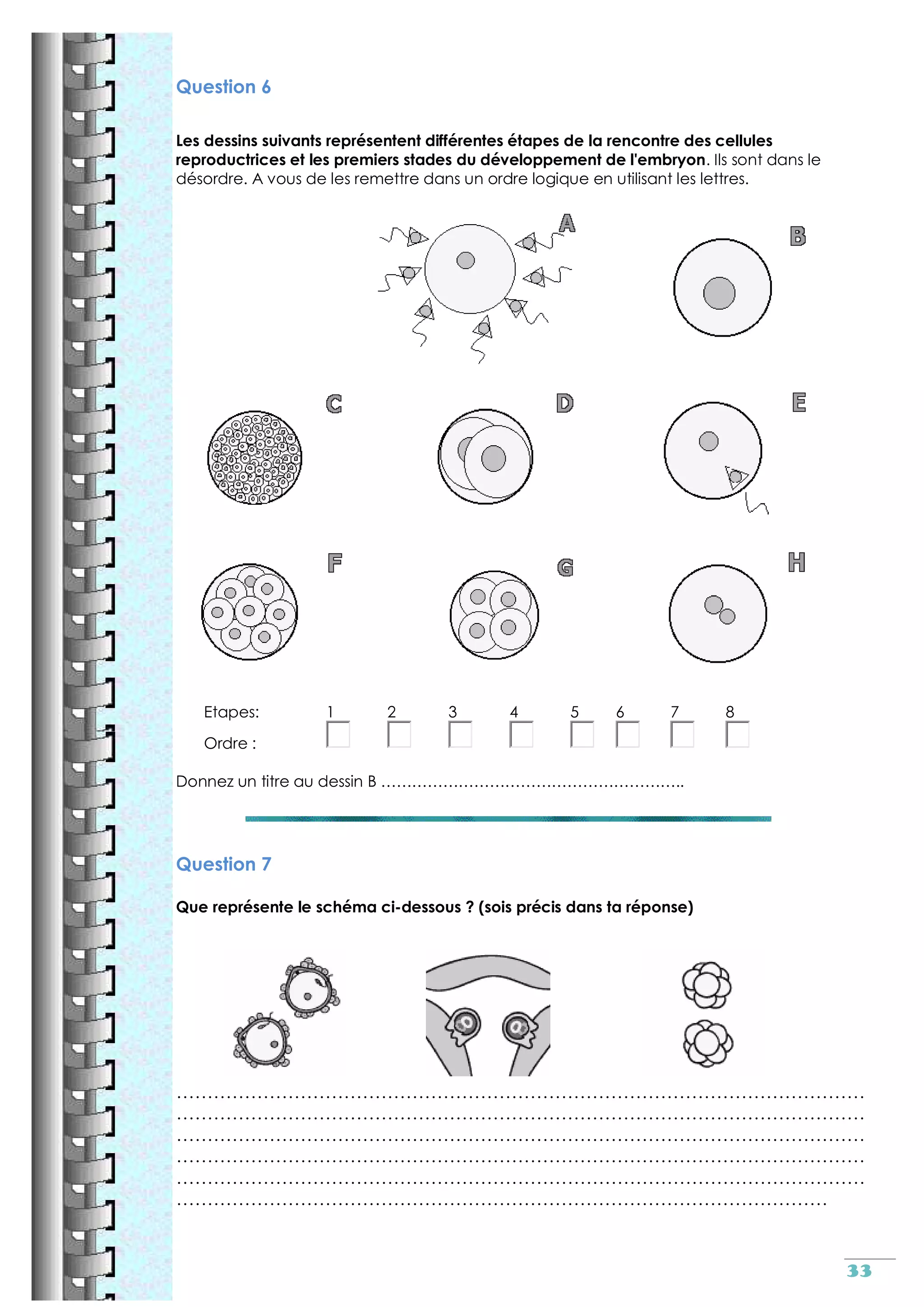 Reproduction sexuee cm2