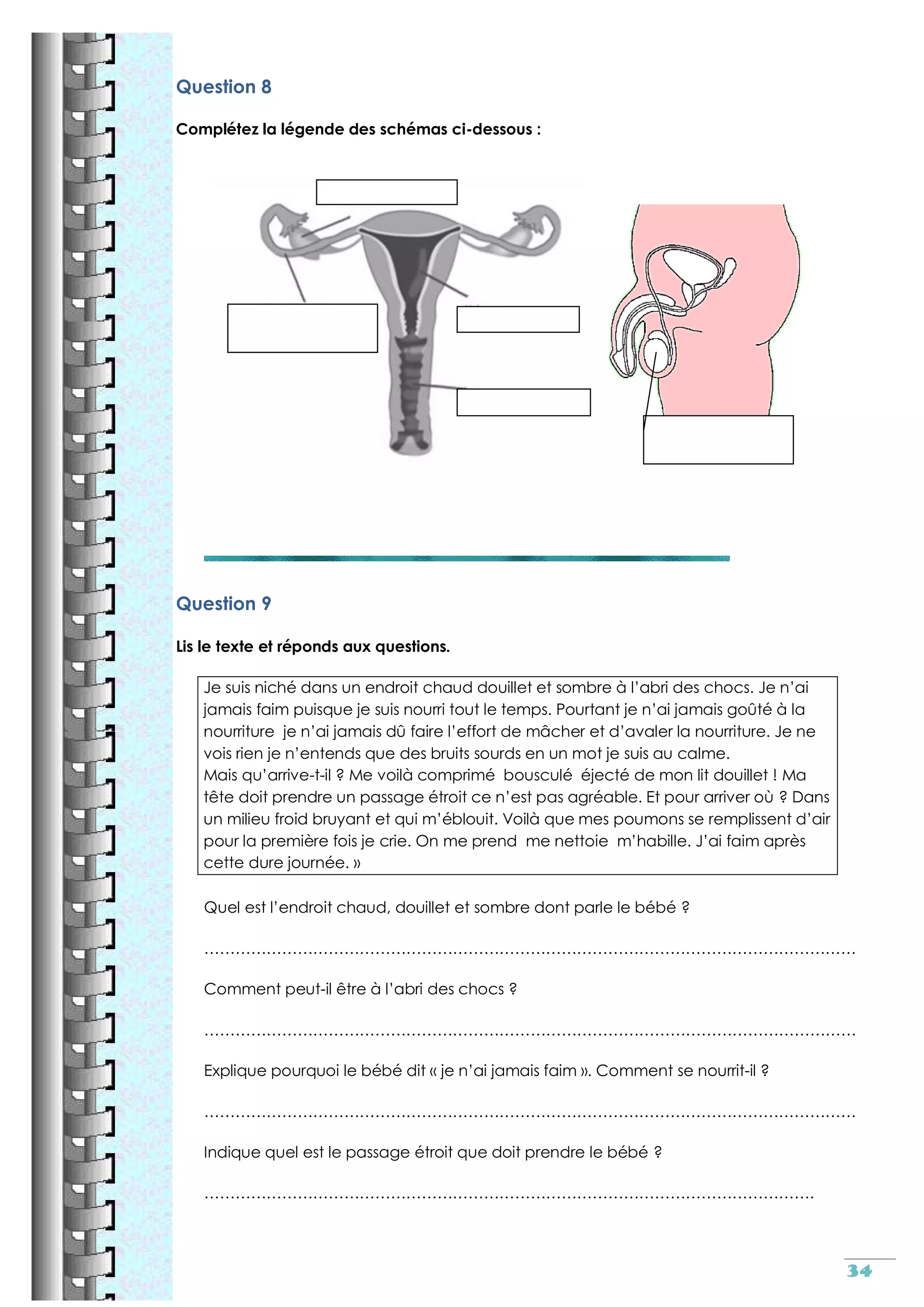 Reproduction sexuee cm2