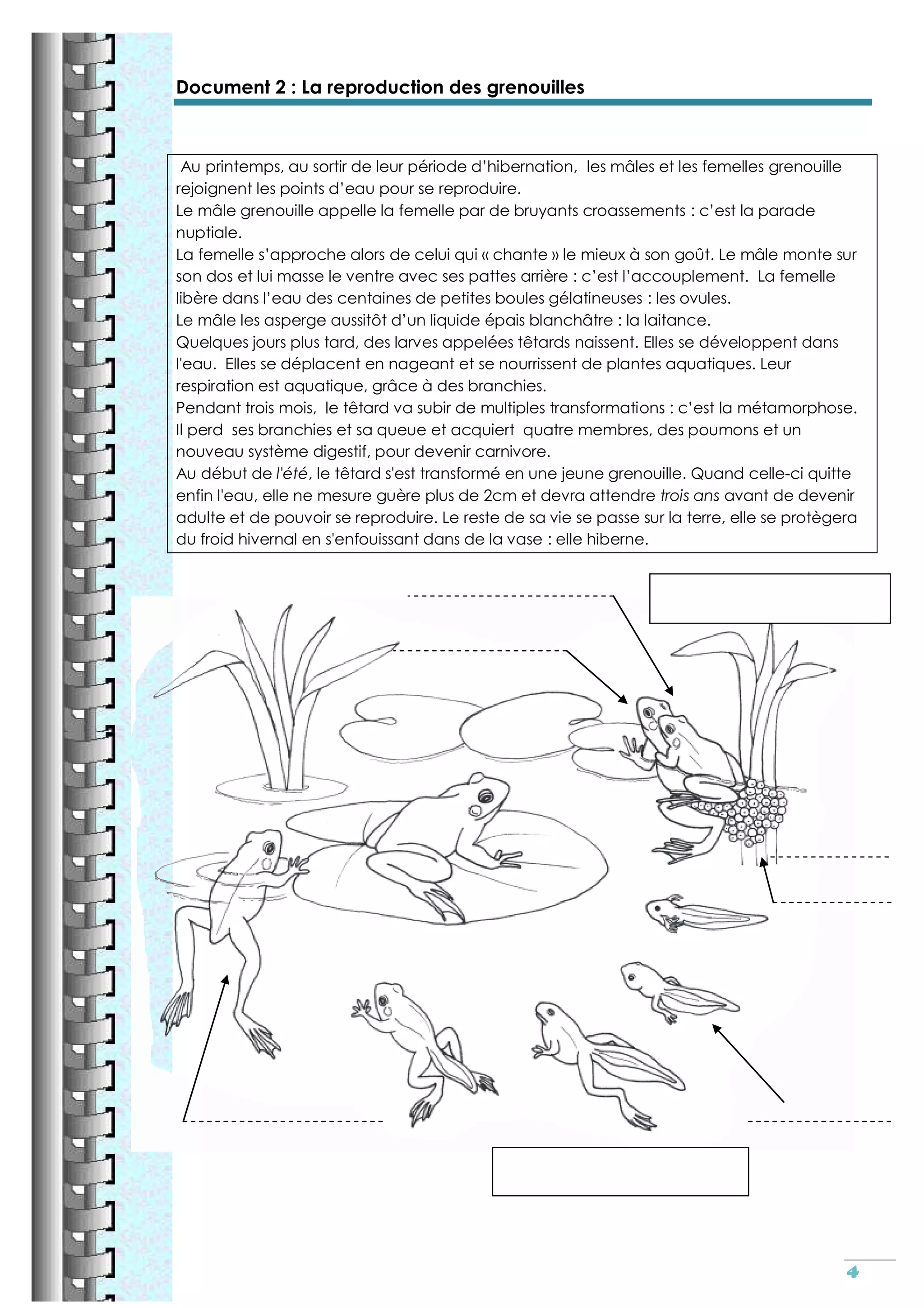 Reproduction sexuee cm2