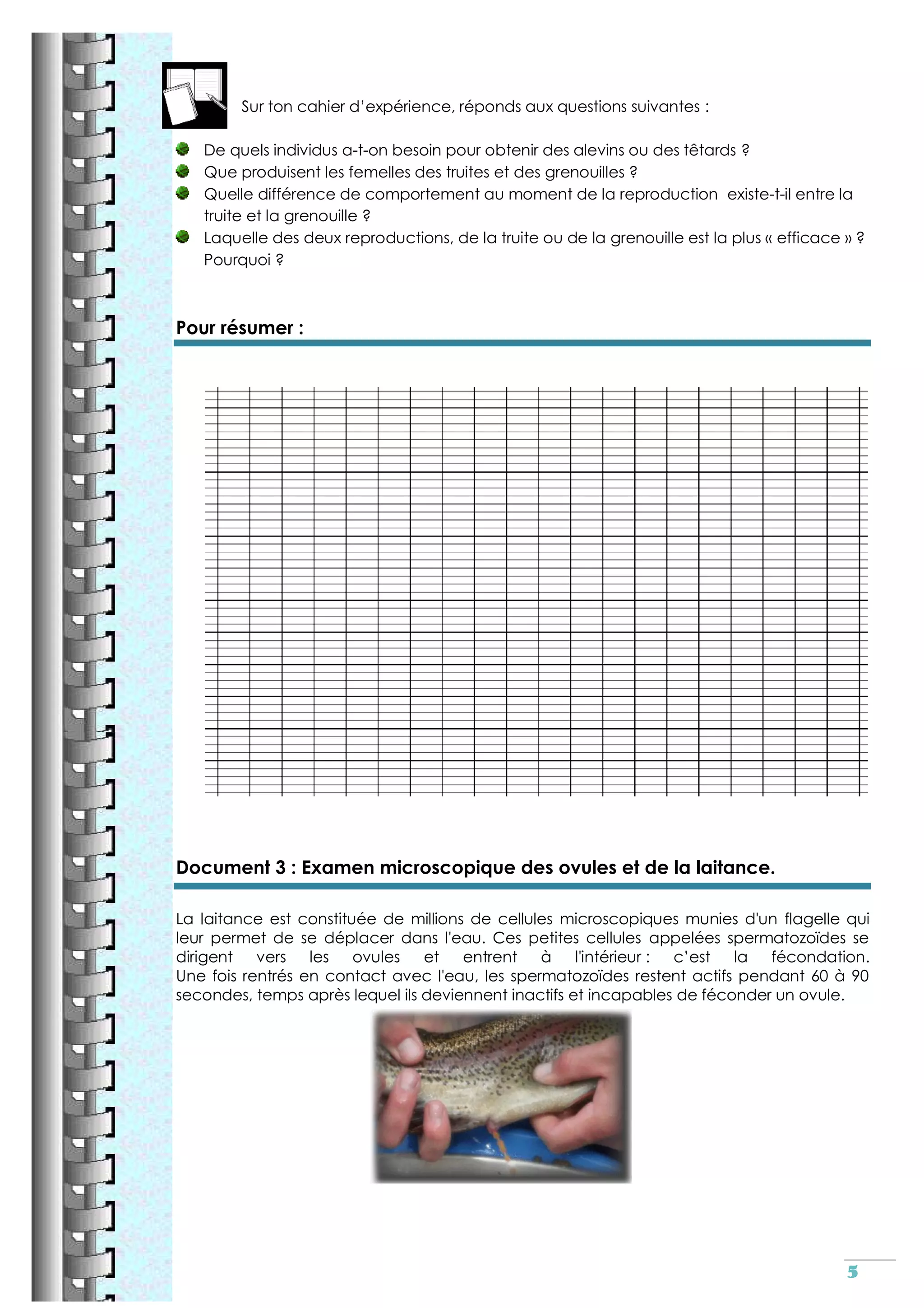 Reproduction sexuee cm2