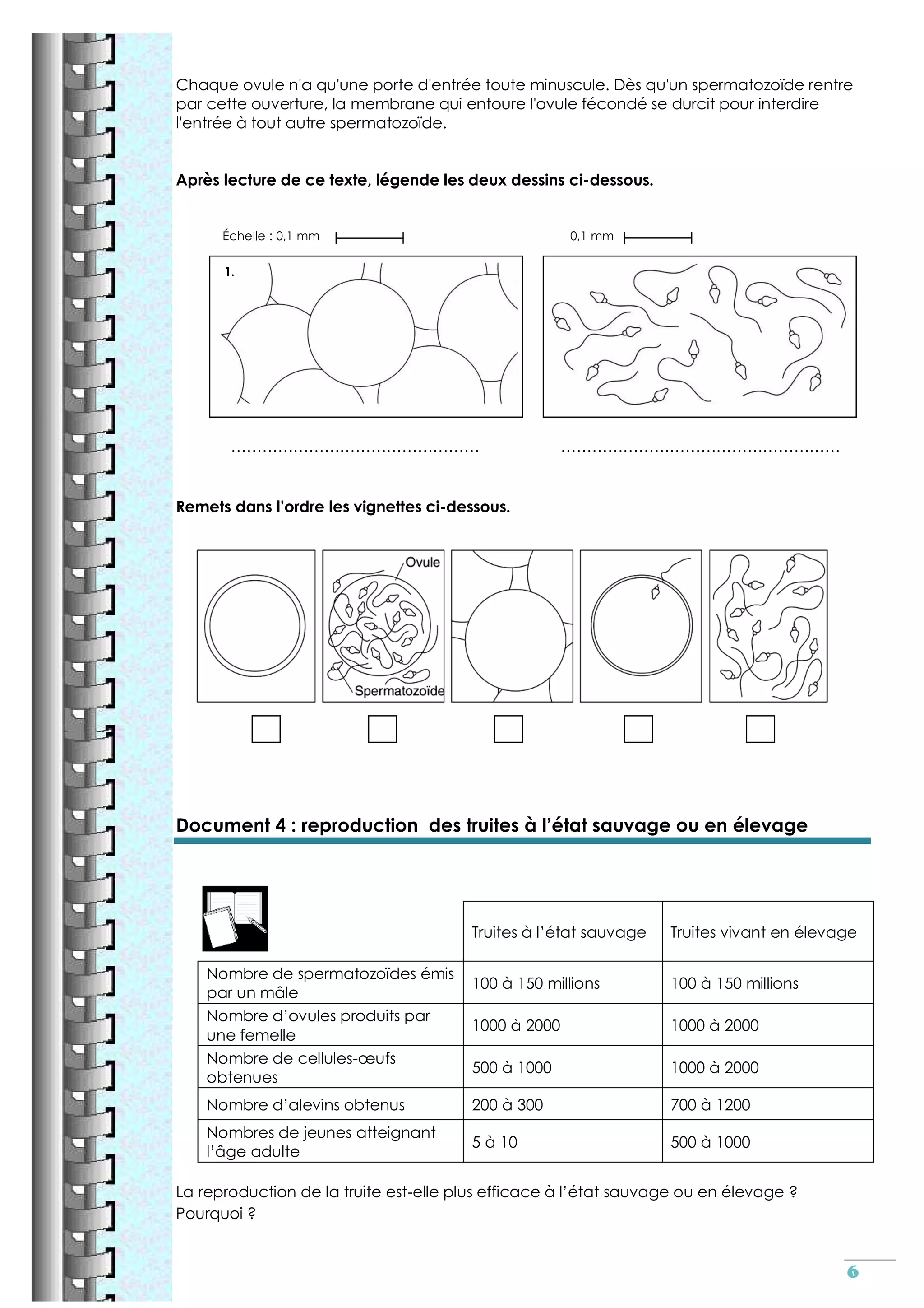 Reproduction sexuee cm2