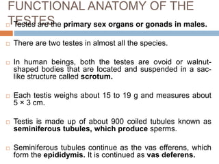 Testes Function Chart Reproduction system | PPTX