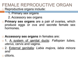 Sexual Reproduction Organs Reproduction system | PPTX