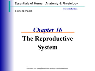 Essentials of Human Anatomy & Physiology Copyright © 2003 Pearson Education, Inc. publishing as Benjamin Cummings Seventh Edition Elaine N. Marieb Chapter 16 The Reproductive System 
