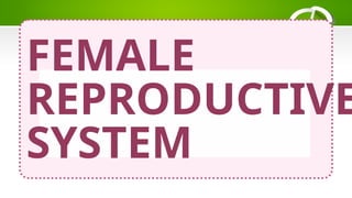 REPRODUCTIVE SYSTEMS AND ITS FUNCTIONS POWERPOINT | PPTX