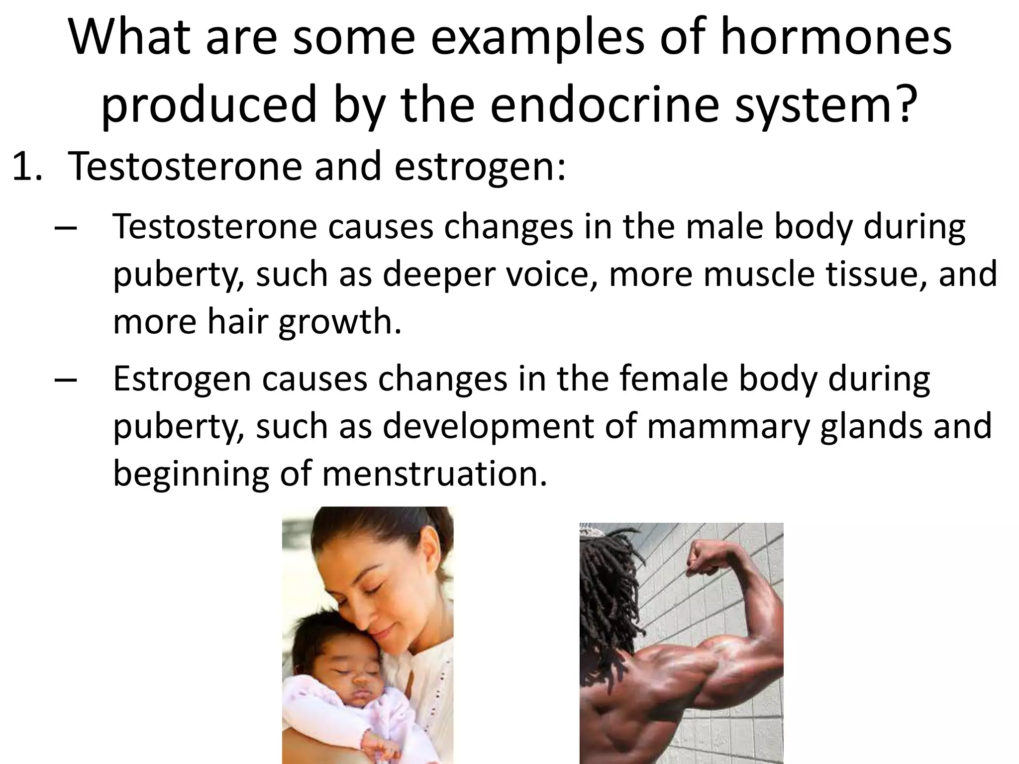 What are some examples of hormones
produced by the endocrine system?
1. Testosterone and estrogen:
– Testosterone causes changes in the male body during
puberty, such as deeper voice, more muscle tissue, and
more hair growth.
– Estrogen causes changes in the female body during
puberty, such as development of mammary glands and
beginning of menstruation.
 