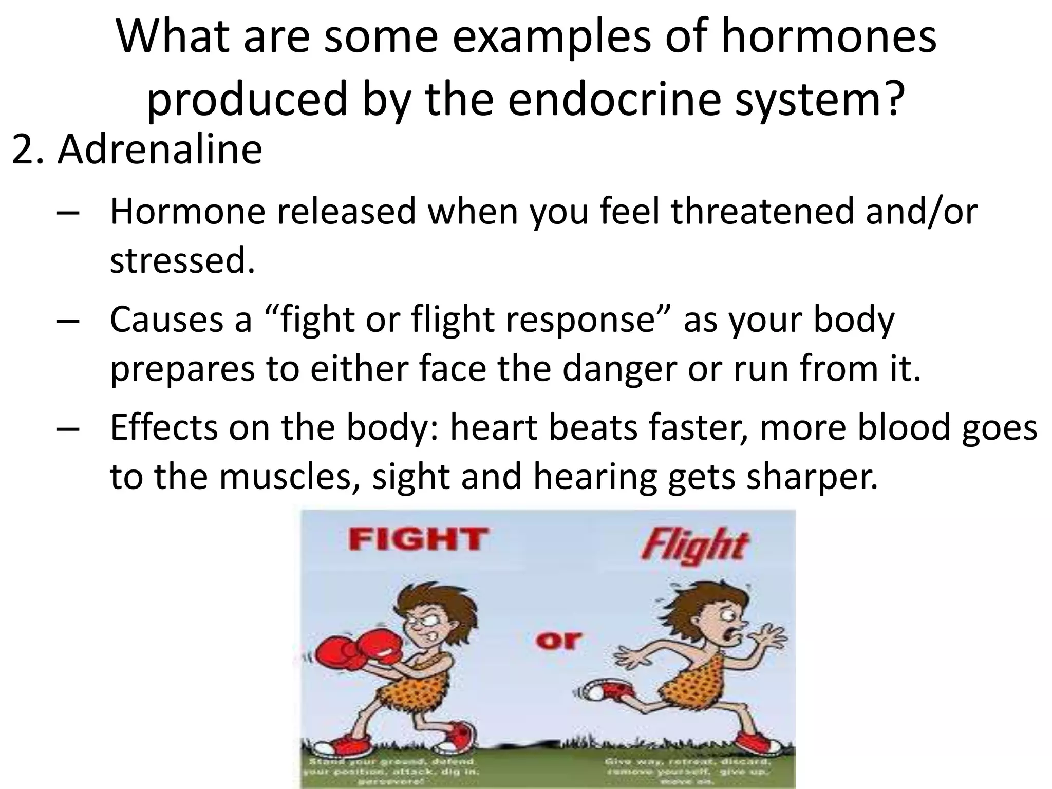 What are some examples of hormones
produced by the endocrine system?
2. Adrenaline
– Hormone released when you feel threatened and/or
stressed.
– Causes a “fight or flight response” as your body
prepares to either face the danger or run from it.
– Effects on the body: heart beats faster, more blood goes
to the muscles, sight and hearing gets sharper.
 