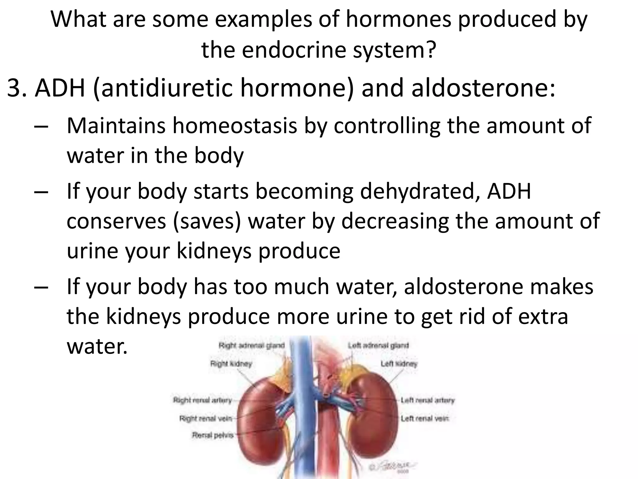What are some examples of hormones produced by
the endocrine system?
3. ADH (antidiuretic hormone) and aldosterone:
– Maintains homeostasis by controlling the amount of
water in the body
– If your body starts becoming dehydrated, ADH
conserves (saves) water by decreasing the amount of
urine your kidneys produce
– If your body has too much water, aldosterone makes
the kidneys produce more urine to get rid of extra
water.
 