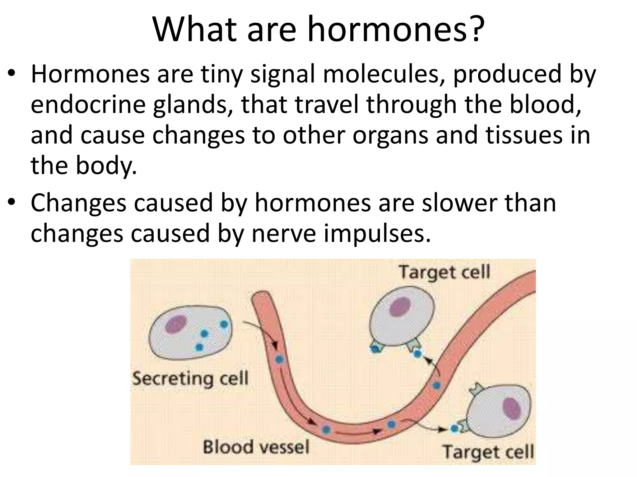 What are hormones?
• Hormones are tiny signal molecules, produced by
endocrine glands, that travel through the blood,
and cause changes to other organs and tissues in
the body.
• Changes caused by hormones are slower than
changes caused by nerve impulses.
 