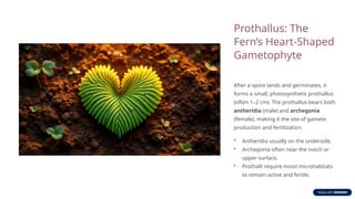Reproductive Strategies in Moisture-Dependent Mosses and Ferns: Motile ...