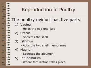 reproductive-structures-and-cycles-NXPowerLite.ppt