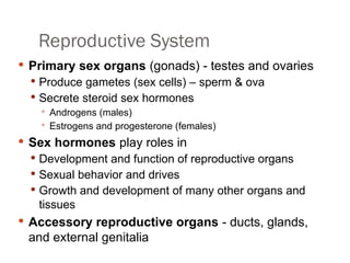 Sexual Reproduction Organs reproductive - system Anatomy (1).pptx