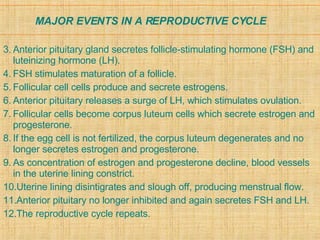 Reproductive%20 System[1] | PPT