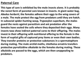 Parantl Insect reproductive adaptation in insects.pptx
