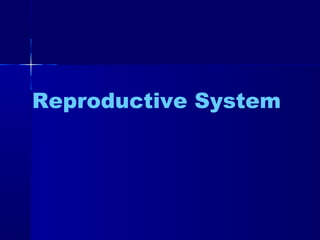 Reproductive System
 