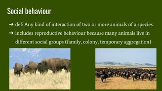 Reproductive behaviour-Parental care.pptx