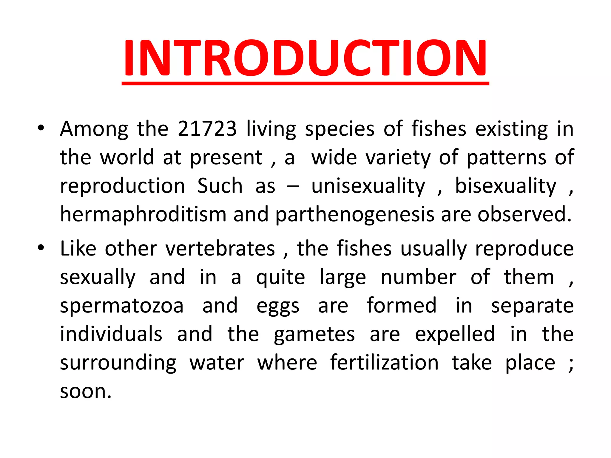 Fish Reproductive System Ppt